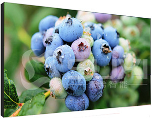 上海液晶拼接屏價格不斷壓低的原因有哪些呢？